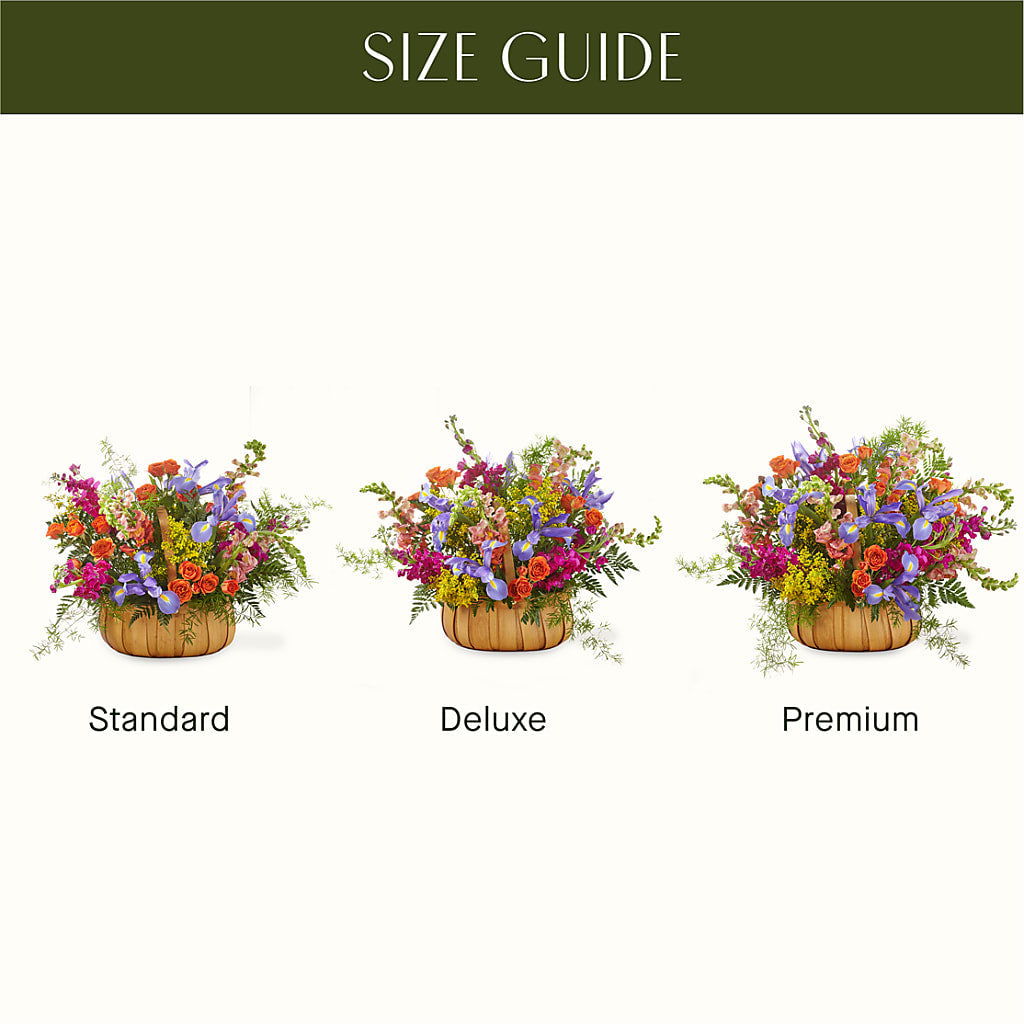 Garden of Life Basket – A Marc In Design, Fort Lauderdale FL