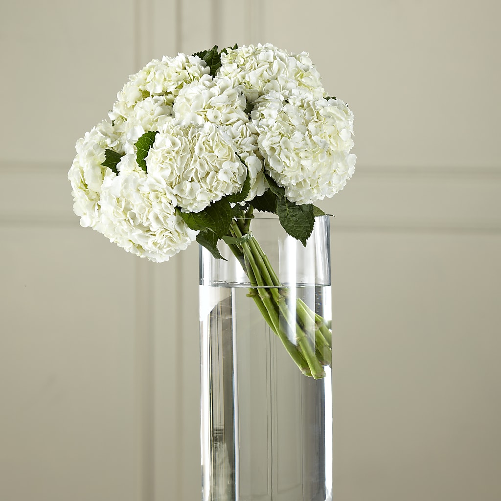 White Hydrangea Hand-Tied Bouquet – A Marc In Design, Fort Lauderdale FL