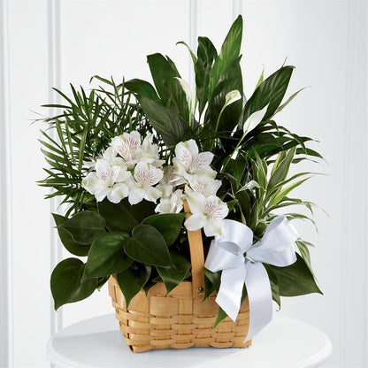 Peace & Serenity Dishgarden –  A Marc In Design, Fort Lauderdale FL