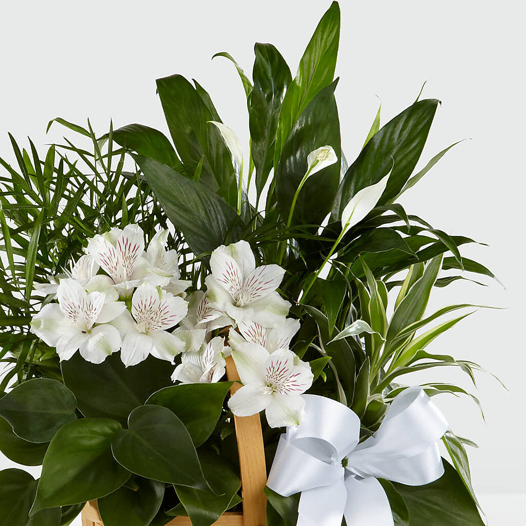 Peace & Serenity Dishgarden –  A Marc In Design, Fort Lauderdale FL