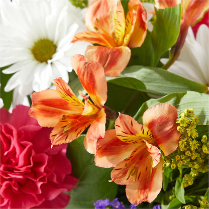 Oopsie Daisy Box Bouquet –  A Marc In Design, Fort Lauderdale FL