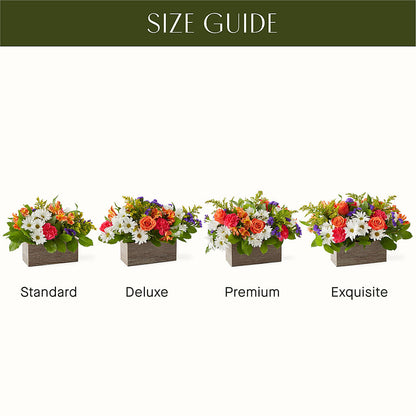 Oopsie Daisy Box Bouquet –  A Marc In Design, Fort Lauderdale FL