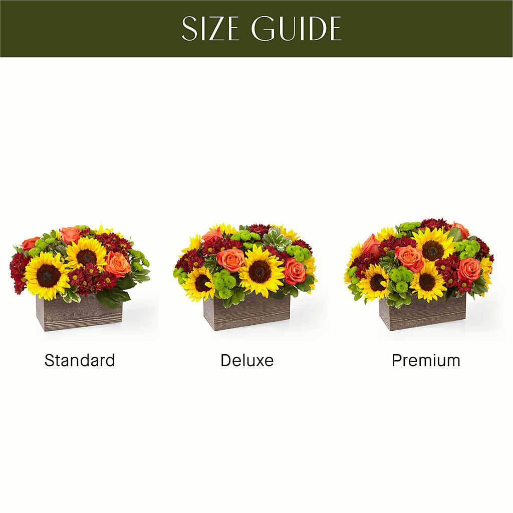 Happy Harvest Garden –  A Marc In Design, Fort Lauderdale FL