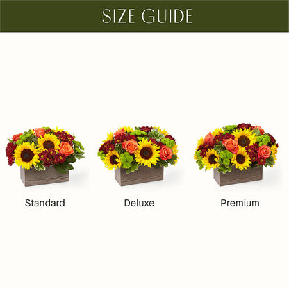 Happy Harvest Garden –  A Marc In Design, Fort Lauderdale FL