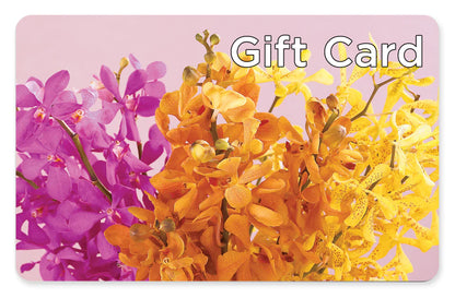 Gift Card –  A Marc In Design, Fort Lauderdale FL