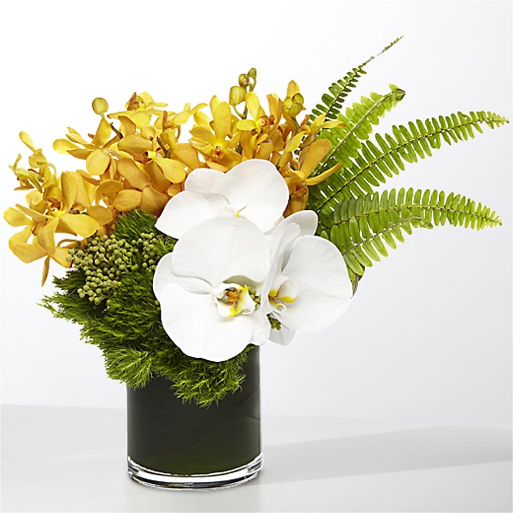 The Tropics –  A Marc In Design, Fort Lauderdale FL