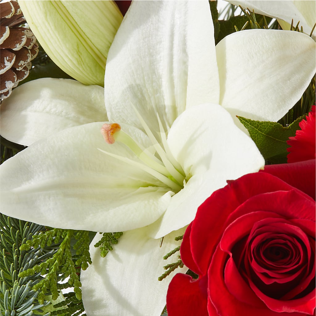 Oh So Jolly Bouquet –  A Marc In Design, Fort Lauderdale FL