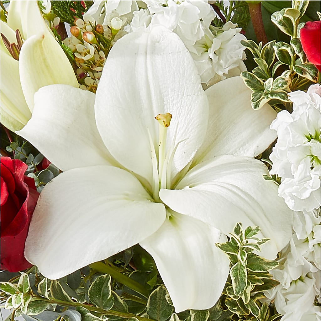 Twinkle Lights Bouquet –  A Marc In Design, Fort Lauderdale FL